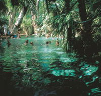 Mataranka Thermal Pool - Accommodation VIC