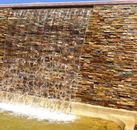 Howard Springs Nature Park - Accommodation VIC