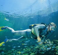 Kirra Reef Dive Site - Accommodation VIC