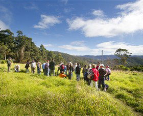 Springbrook QLD Accommodation VIC