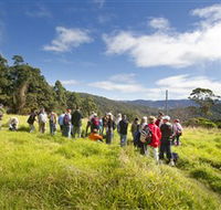 Apple Tree Park - Accommodation VIC