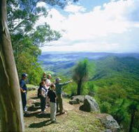 Gold Coast Hinterland Great Walk - Accommodation VIC