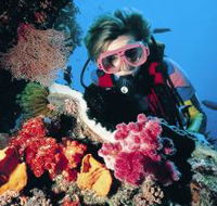 Cook Island Dive Site - Accommodation VIC