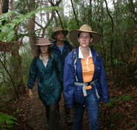 Mount Cougal Springbrook National Park - Accommodation VIC