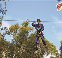 Adventure Parc at Currumbin Wildlife Sanctuary - Accommodation VIC