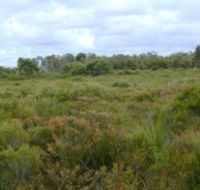Pine Ridge Conservation Park - Accommodation VIC