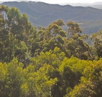 Conondale National Park - Accommodation VIC