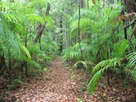Mapleton QLD Accommodation VIC