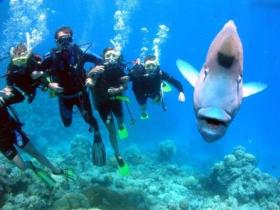 Magic Mountain Dive Site - Accommodation VIC 0