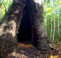 Tewantin National Park - Accommodation VIC