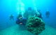 Ex-HMAS Brisbane Conservation Park - thumb 0