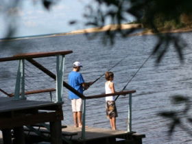 Currimundi Lake (Kathleen McArthur) Conservation Park - Accommodation VIC 0
