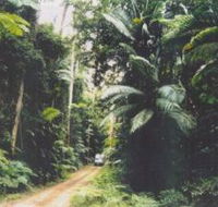 Conondale Great Walk - Accommodation VIC