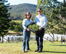 Hinterland Feijoas - Accommodation VIC 0