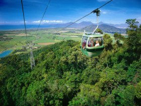 Skyrail Rainforest Cableway - Accommodation VIC 0