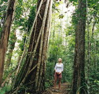 Wet Tropics - Accommodation VIC