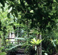Flecker Botanic Gardens - Accommodation VIC