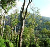 Smiths Track Barron Gorge National Park - Accommodation VIC