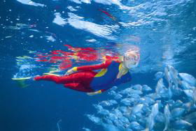 Pixie Pinnacle Dive Site - Accommodation VIC 0