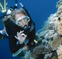 Moore Reef Dive Site - Accommodation VIC