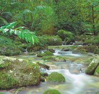 Mossman Gorge Daintree National Park - Accommodation VIC