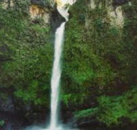 Nandroya Falls Circuit Track Wooroonooran National Park - Accommodation VIC