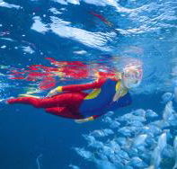 Great Detached Reef Dive Site - Accommodation VIC