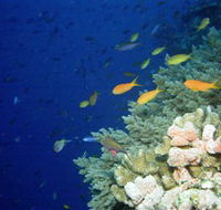 The Three Sisters Dive Site - Accommodation VIC