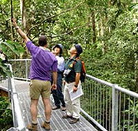 Daintree Discovery Centre - Accommodation VIC
