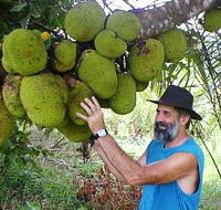 Cape Trib Exotic Fruit Farm - Accommodation VIC