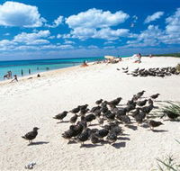 Michaelmas and Upolo Cays National Park - Accommodation VIC