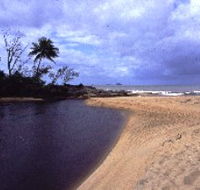 Russell River National Park - Accommodation VIC