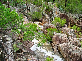 Crows Nest National Park - Accommodation VIC 0