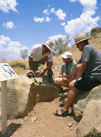 Pioneer QLD Accommodation VIC