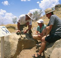 Riversleigh Fossil Fields - Accommodation VIC