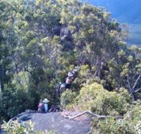 Mia Mia State Forest - Accommodation VIC