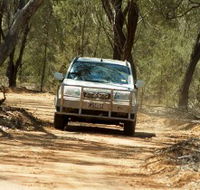 Ward River 4x4 Stock Route Trail - Accommodation VIC
