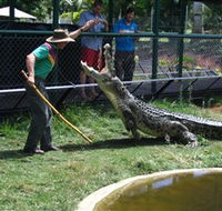 Snakes Downunder Reptile Park and Zoo - Accommodation VIC