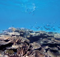 Australian Institute of Marine Science - Accommodation VIC