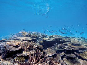 Australian Institute Of Marine Science - Accommodation VIC 0