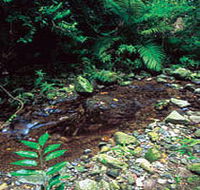 Wompoo Walk - Accommodation VIC