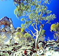 Mount Moffatt Section - Carnarvon National Park - Accommodation VIC
