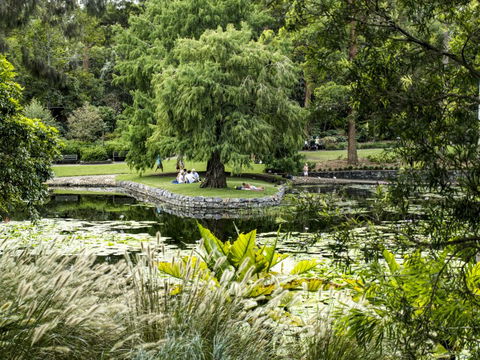Brisbane Botanic Gardens Mount Coot-tha - Accommodation VIC 1