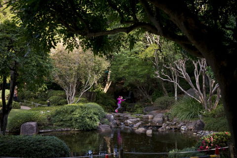 Brisbane Botanic Gardens Mount Coot-tha - Accommodation VIC 2