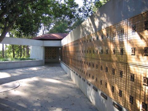 Brisbane Botanic Gardens Mount Coot-tha - Accommodation VIC 3