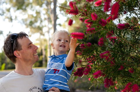 Brisbane Botanic Gardens Mount Coot-tha - Accommodation VIC 4