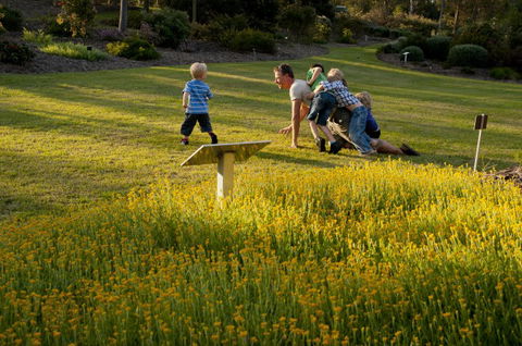 Brisbane Botanic Gardens Mount Coot-tha - Accommodation VIC 5