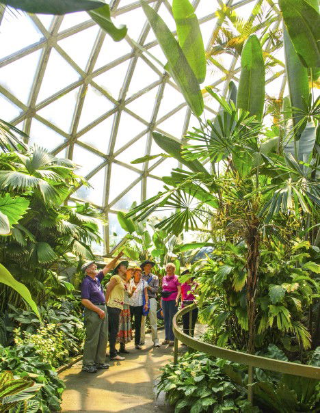 Brisbane Botanic Gardens Mount Coot-tha - Accommodation VIC 10