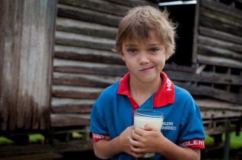 Maleny Dairies - Accommodation VIC 2