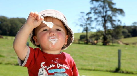 Maleny Dairies - Accommodation VIC 5